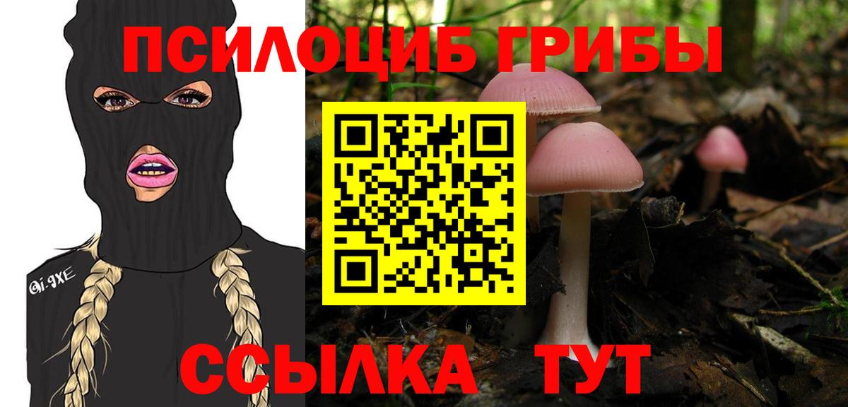 Галлюциногенные грибы мицелий Красноуфимск